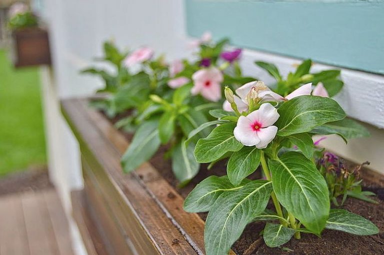 27 DIY Flower Box Planters for Fancy Windows and Beyond
