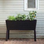Easy Grow Patio Garden Flower Plant Planter