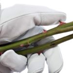 Professional Rose Pruning Garden Gloves