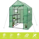 Deluxe Green House
