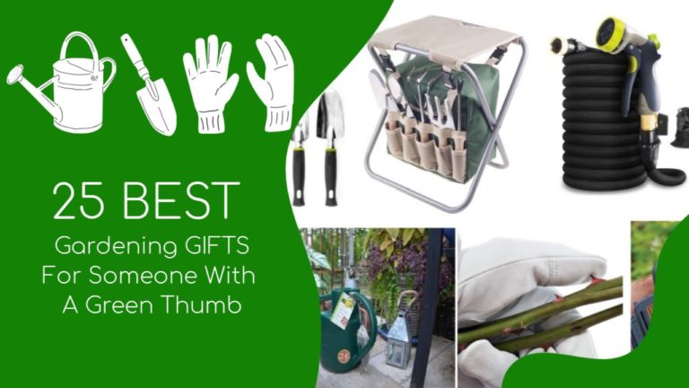 25 Best Gardening Gifts For Someone With A Green Thumb